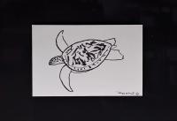 Sea Turtle 5.5x8.5 Framed Drawing by * WYLAND *