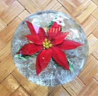 Salazar Poinsettia Paperweight HC by Daniel Salazar