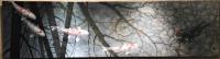 A Stretch of the Imagination 16x60 Oil by Terry Gilecki