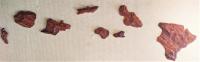 Eight-Piece Koa Island Chain by Greg Eaves <! local>