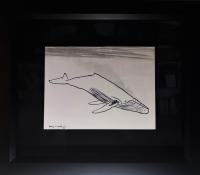Humpback 9x12 Framed Drawing by * WYLAND *