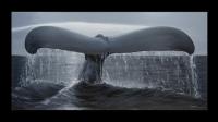 Freedom 22.5 x 42 Giclee SN of 750 by * WYLAND *