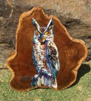 Dexter The Owl Original on Live Edge with Resin Coating by Steve Barton
