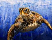 Golden Honu LE Enhanced Giclee by Shawn Mackey