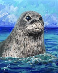 <b>*NEW*</b> Wave Fun Original by Shawn Mackey